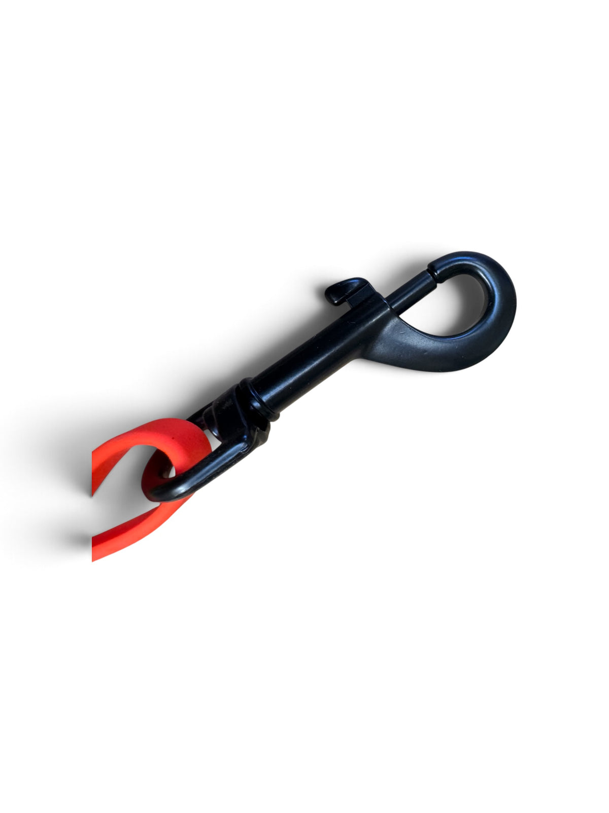 ‘GROOM ACADEMY’ Grooming safety restraint loop 50cm (20 inches) 10mm wide.